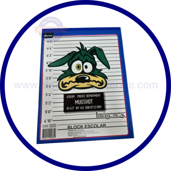 BLOCK CARTA CUADRICULADO IMÁGENES